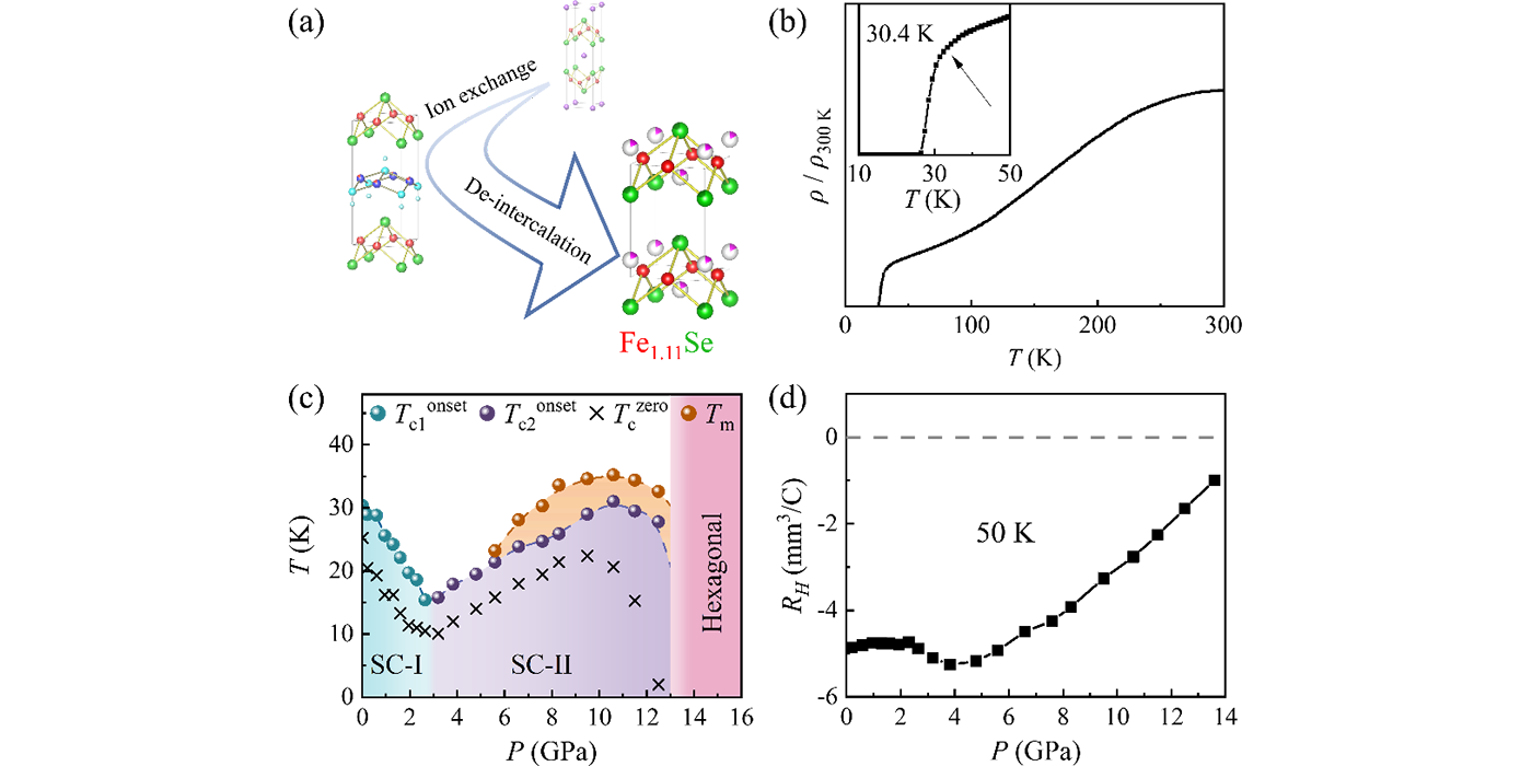 亚稳态超导体Fe<sub>1.11</sub>Se的合成与压力下的超导再进入